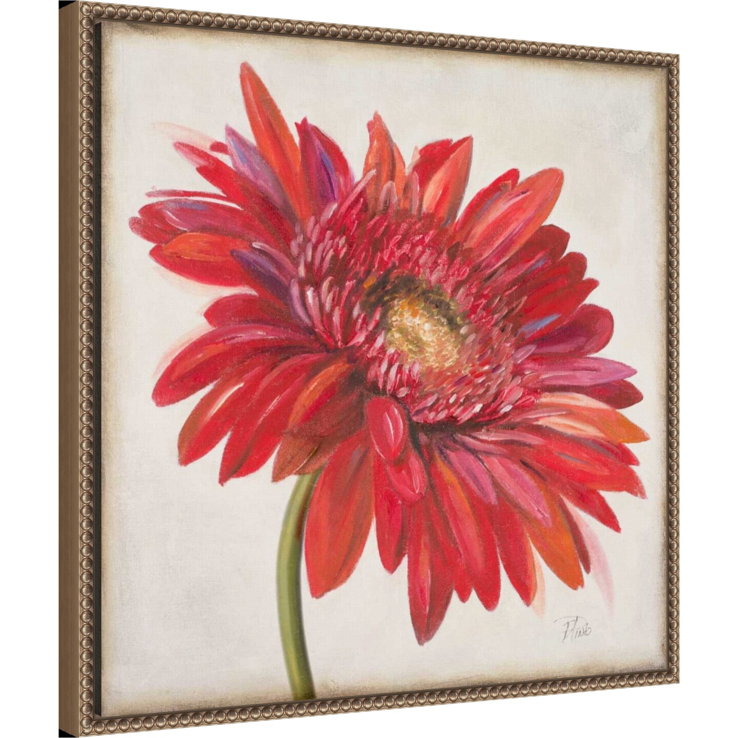 Red Gerber Daisy by Patricia Pinto Framed Canvas Wall Art