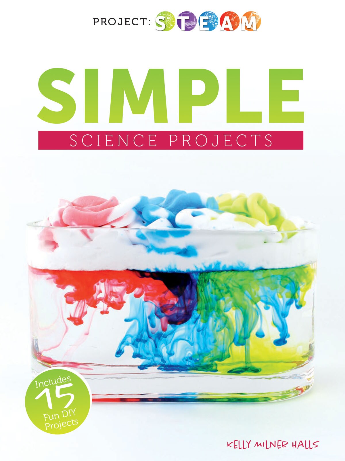 Rourke Educational Media Simple Science Projects Reader