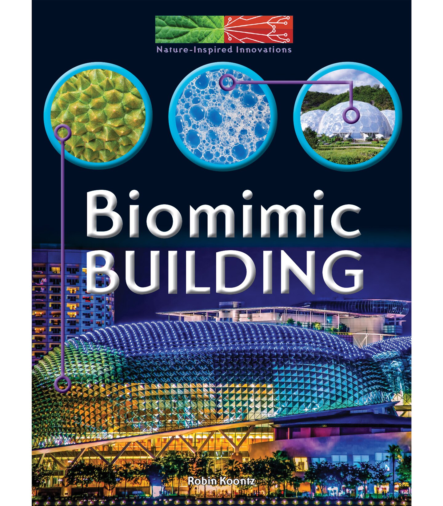 Rourke Educational Media Biomimic Building Reader
