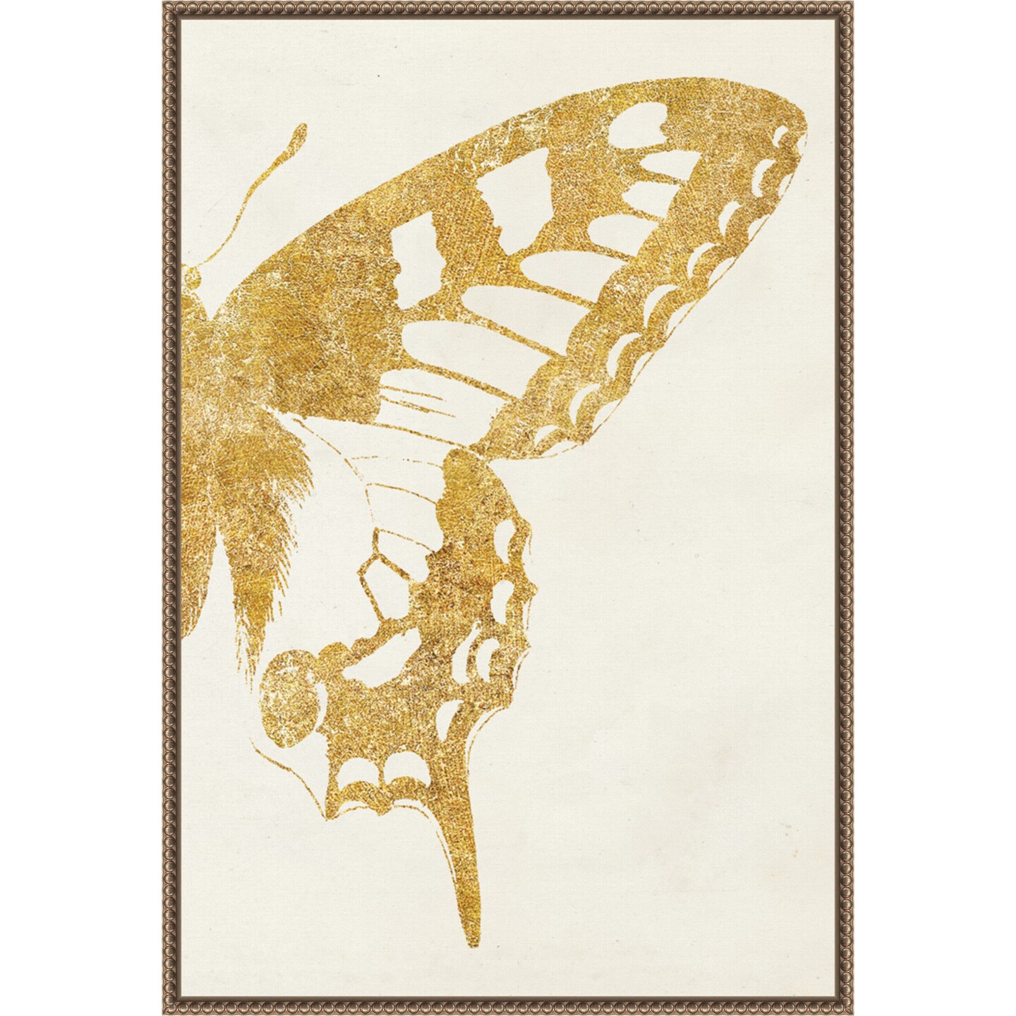 Butterfly Wings II by Wild Apple Portfolio Framed Canvas Wall Art