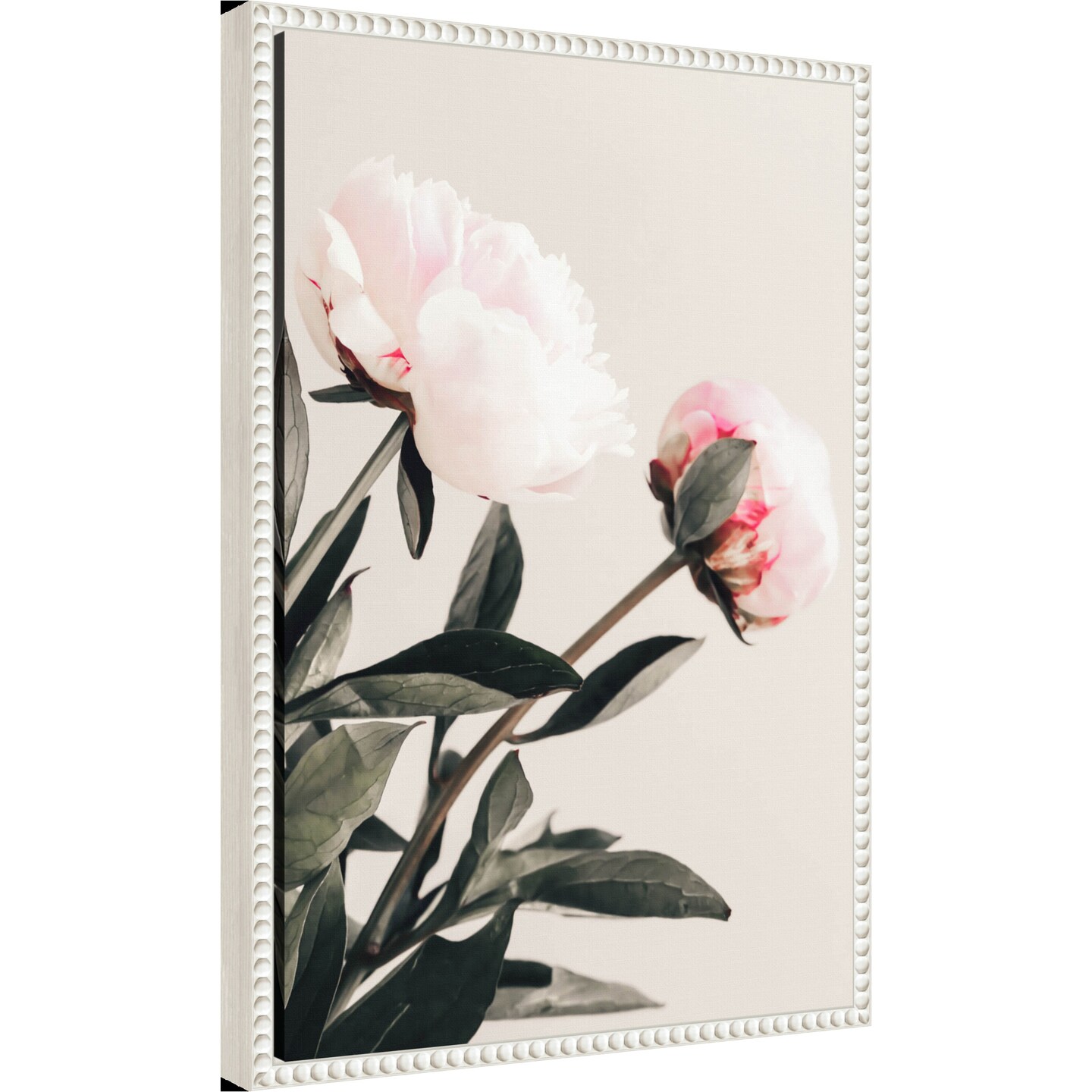 Peony 23 by Pictufy Studio III Framed Canvas Wall Art