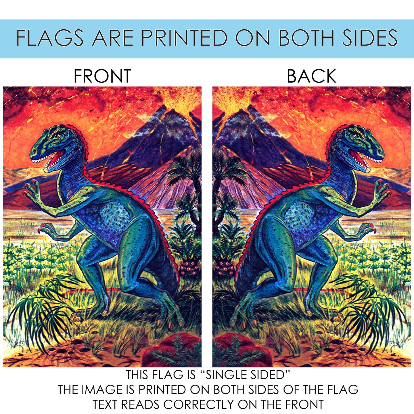 Run Dino Run Decorative Dinosaur Flag
