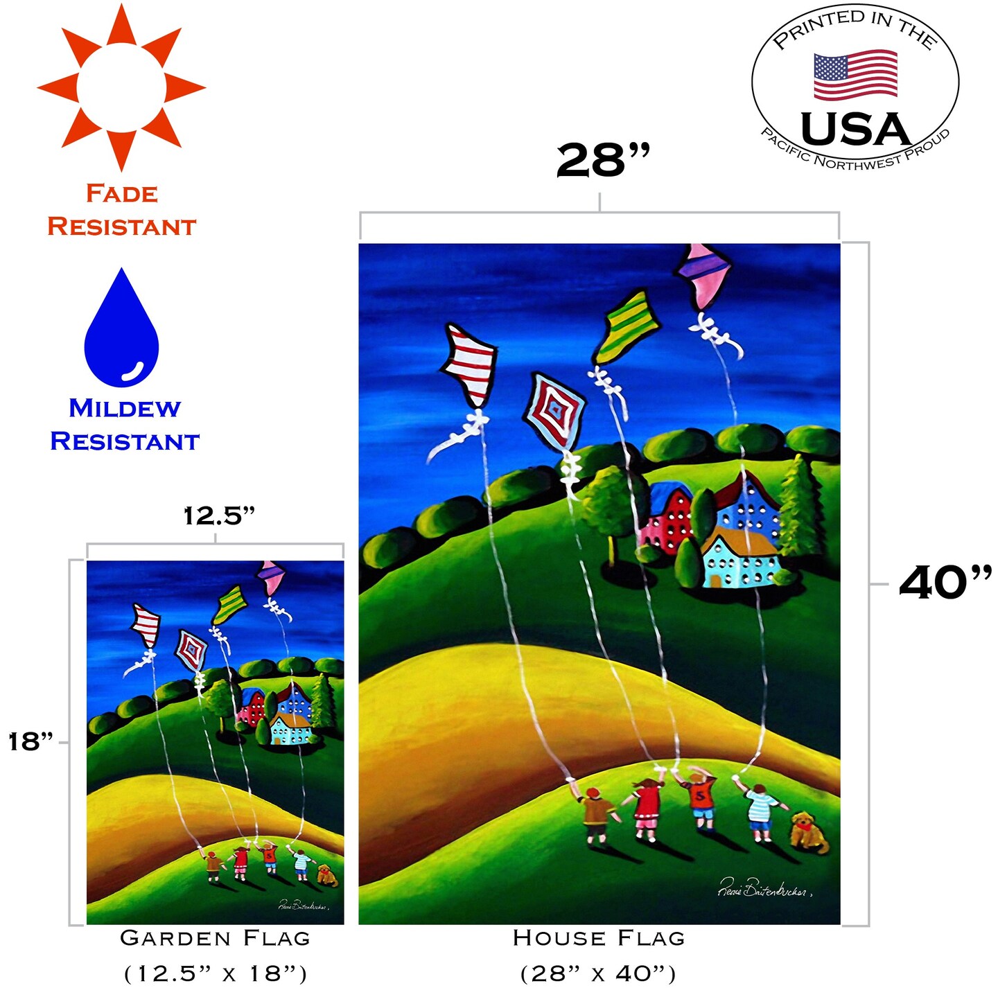 Kite Flyers Decorative Kites Flag