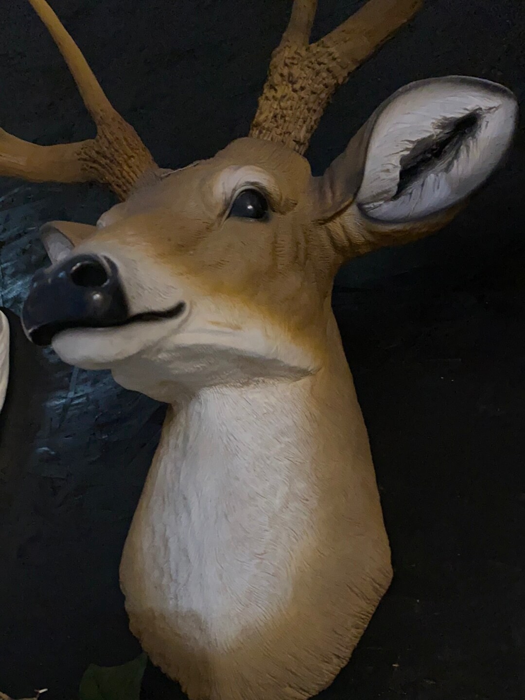 Small Buck Deer Head Statue