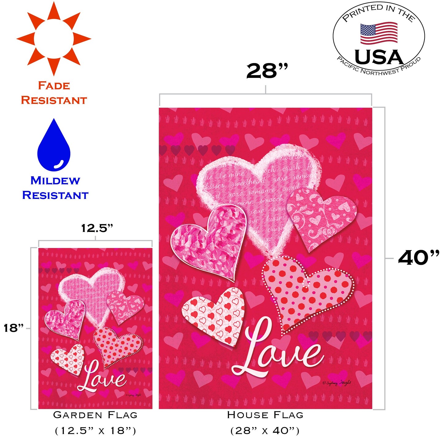 Whole Lotta Love Decorative Valentine Flag