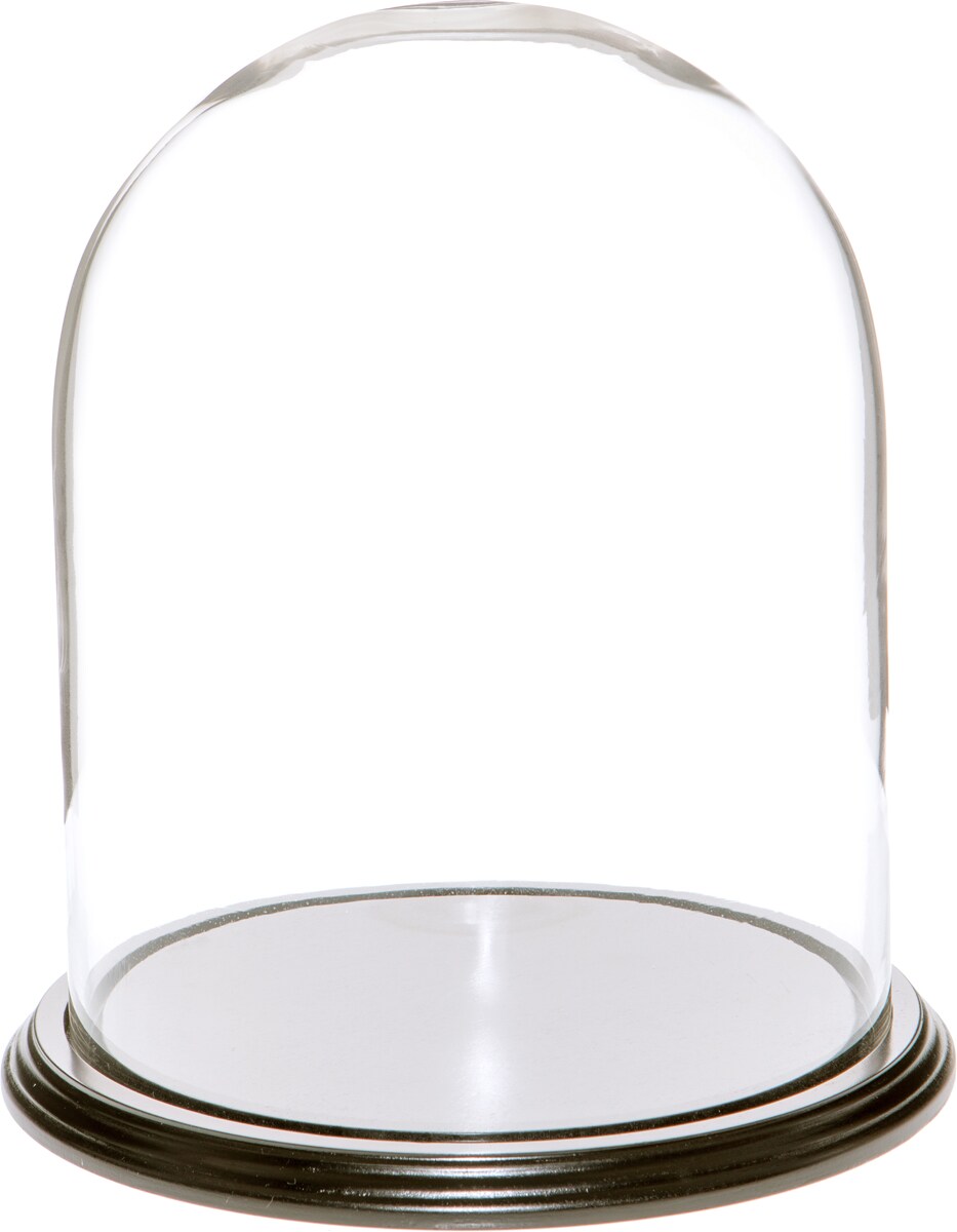 Plymor 8" x 10.25" Glass Display Dome Cloche Michaels