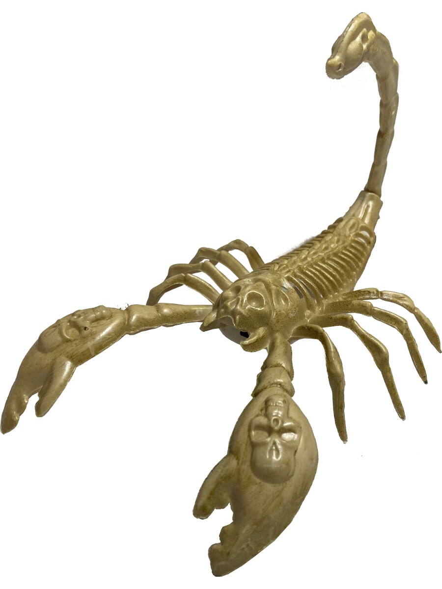 Light Up Scorpion Skeleton Decoration