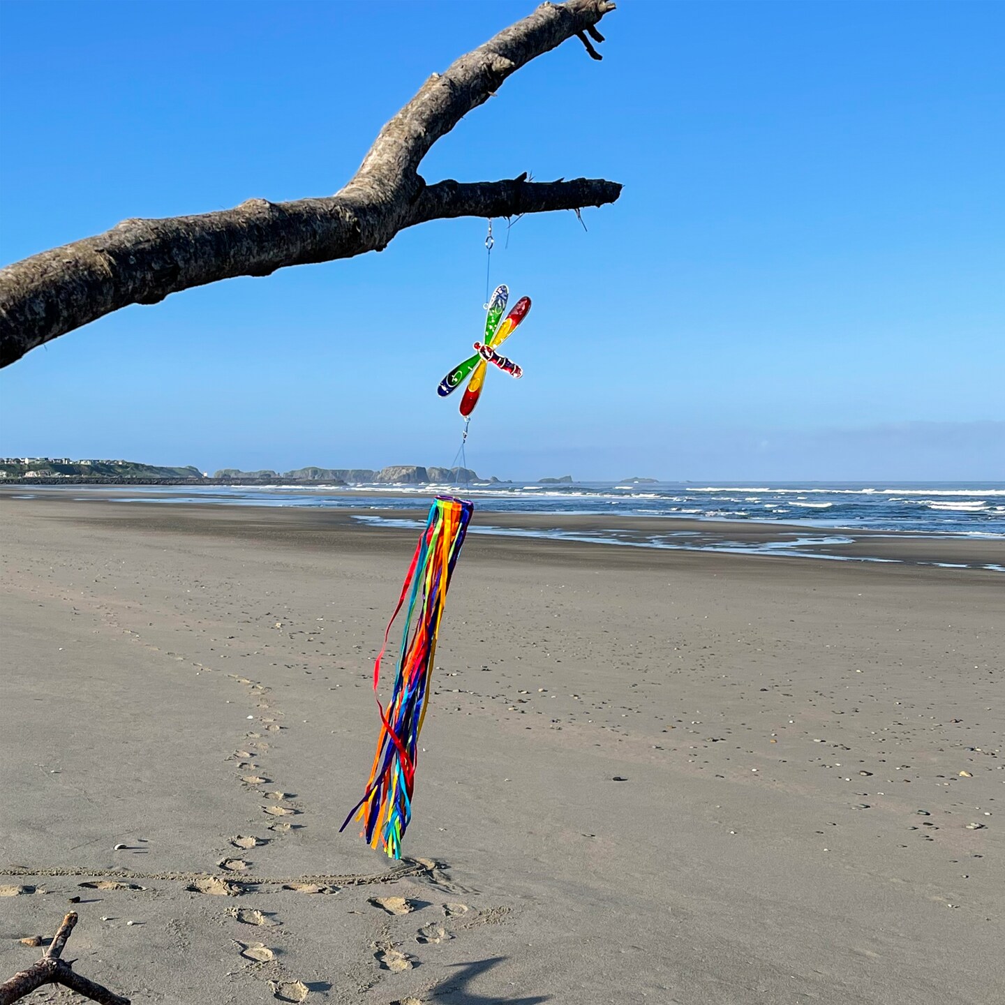 In the Breeze 5193 &#x2014; Dragonfly &#x26; Ribbon Windsock