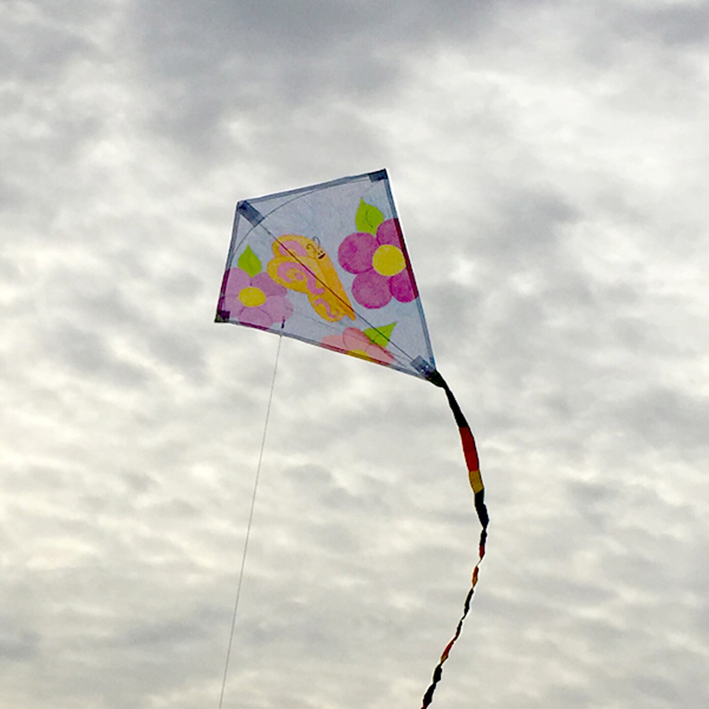 In the Breeze Coloring Diamond 20 Inch Kite - Single Line - Ripstop Fabric Kite - Includes Crayons, Kite Line and Bag - Creative Fun for Kids and Adults