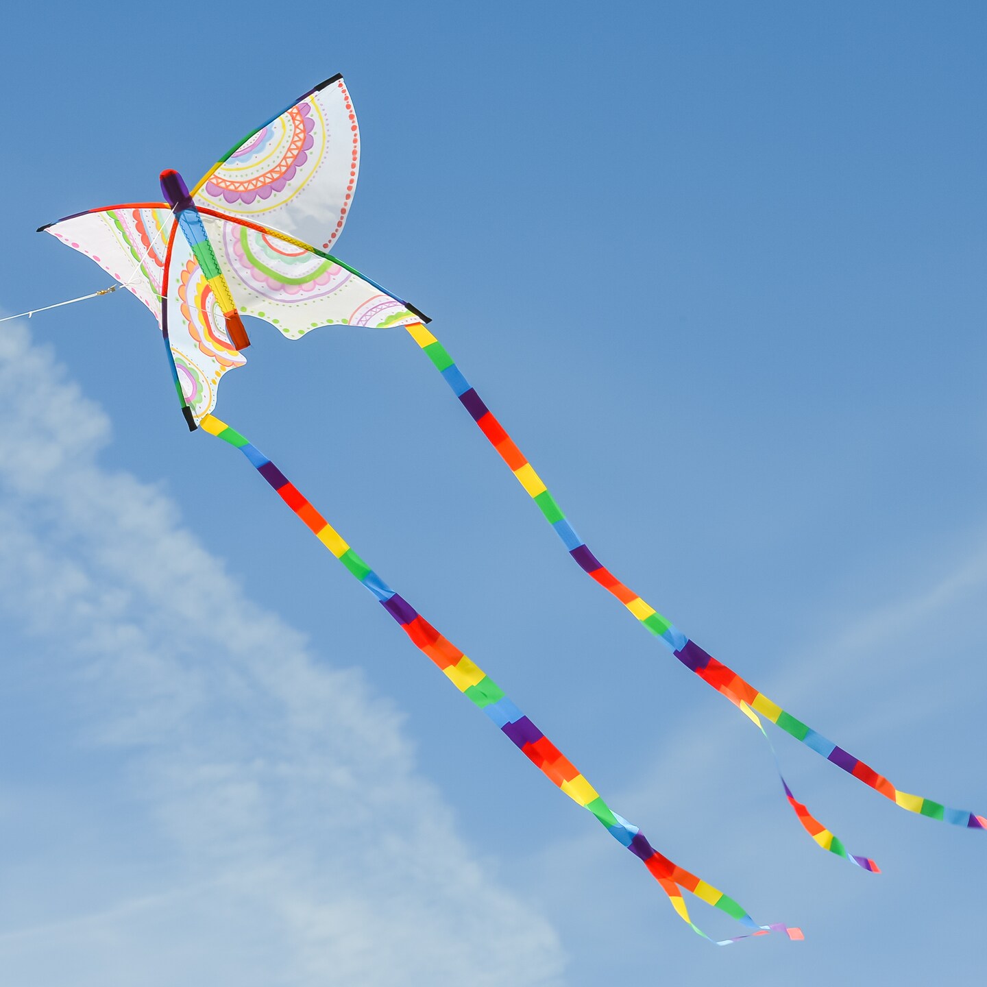 In the Breeze Coloring Butterfly Kite - Single Line - Ripstop Fabric Kite - Includes Crayons, Kite Line and Bag - Creative Fun for Kids and Adults