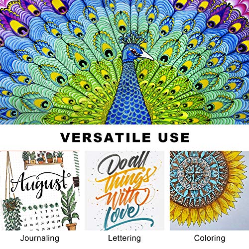 24 Colored Markers,Dual Brush Marker Pens,Fine Point and Brush Tip for Kids Adult Coloring Books Bullet Journals Planners,Note Taking Coloring Writing