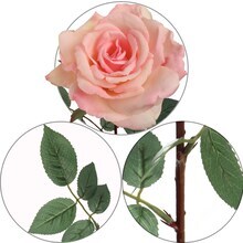 Pink Queen Anne Rose Stem - 12-Pack, Silk Foliage, Lifelike Blooms, Perfect for Floral Arrangements, Events &#x26; Home D&#xE9;cor - Ideal for All Seasons, Floral Home by Artificial Flowers