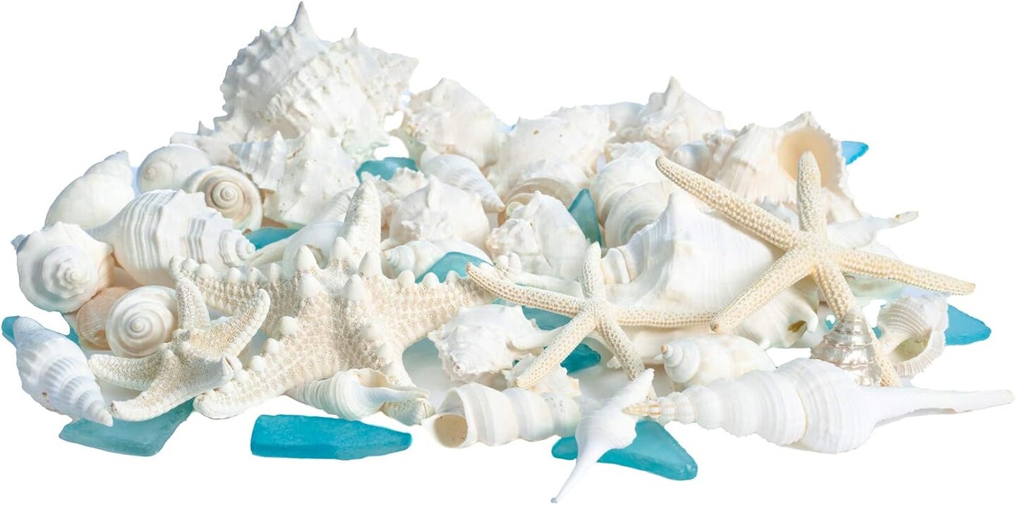 Sea Shells | Real Mixed Beach Seashells with Real Starfish &#x26; Caribbean Blue Sea Glass Seashell Wedding (2 Pack)