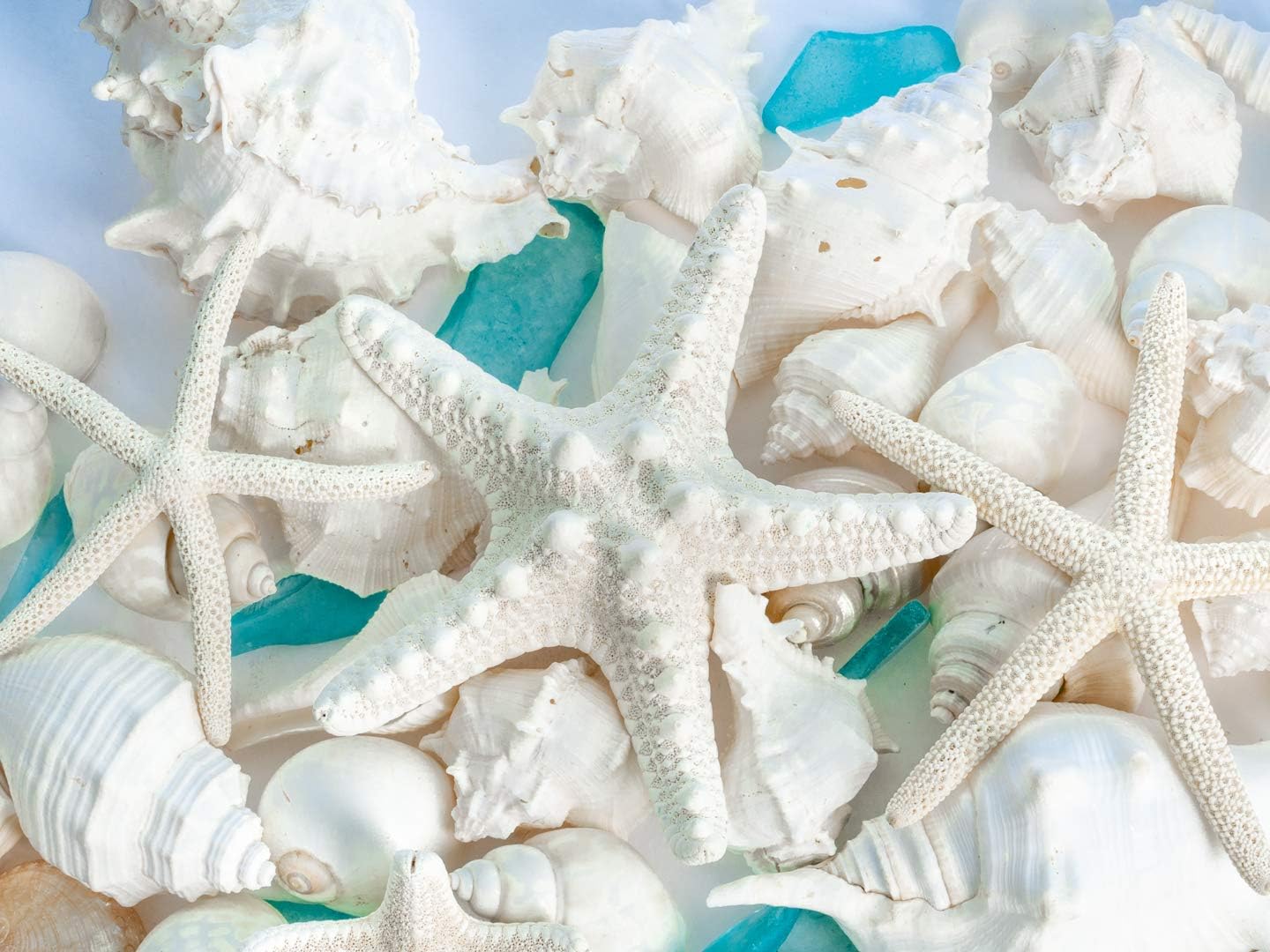 Sea Shells | Real Mixed Beach Seashells with Real Starfish &#x26; Caribbean Blue Sea Glass Seashell Wedding (2 Pack)