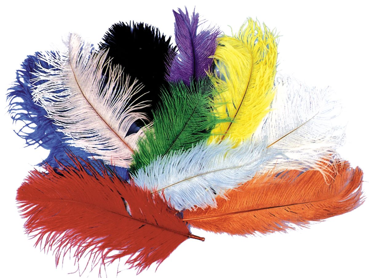 The Costume Center Black Ostrich Feather Unisex Adult Halloween Costume Accessory - One Size