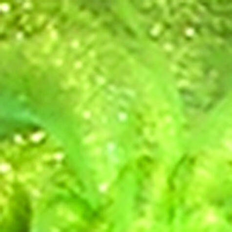 The Ribbon People Club Pack of 36 Green Solid Tie Gift Bags 6" x 12.5"