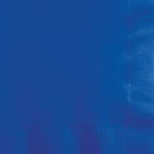 Party Central Club Pack of 240 Cobalt Blue Disposable Beverage Napkins 5&#x22;