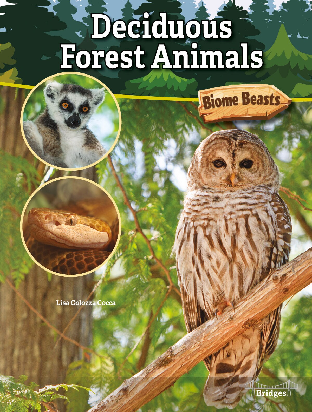Rourke Educational Media Biome Beasts Deciduous Forest Animals Reader