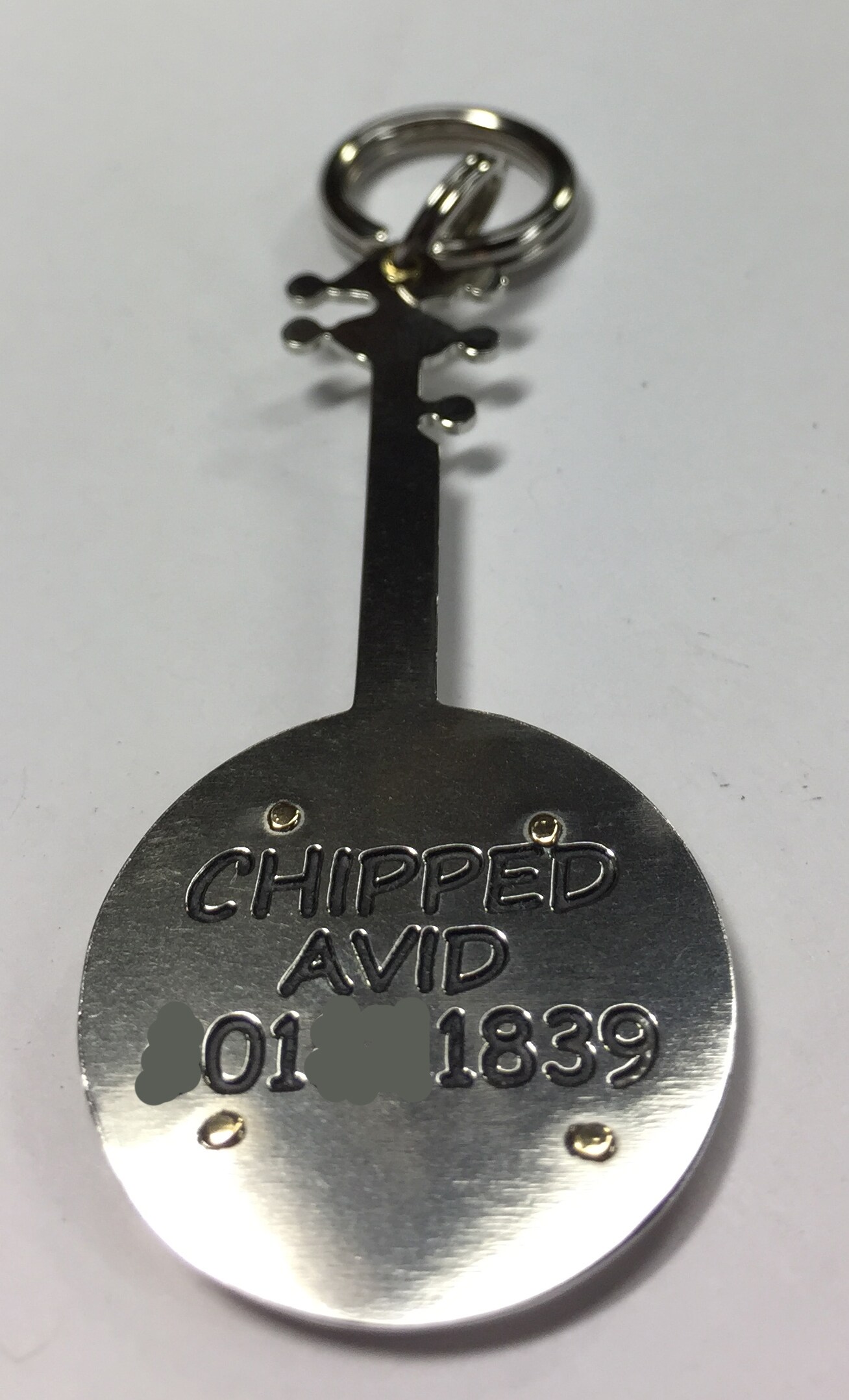 Banjo Dog Tag ID-Unique Banjo Pet Tag-Handmade Brass Nickel Silver