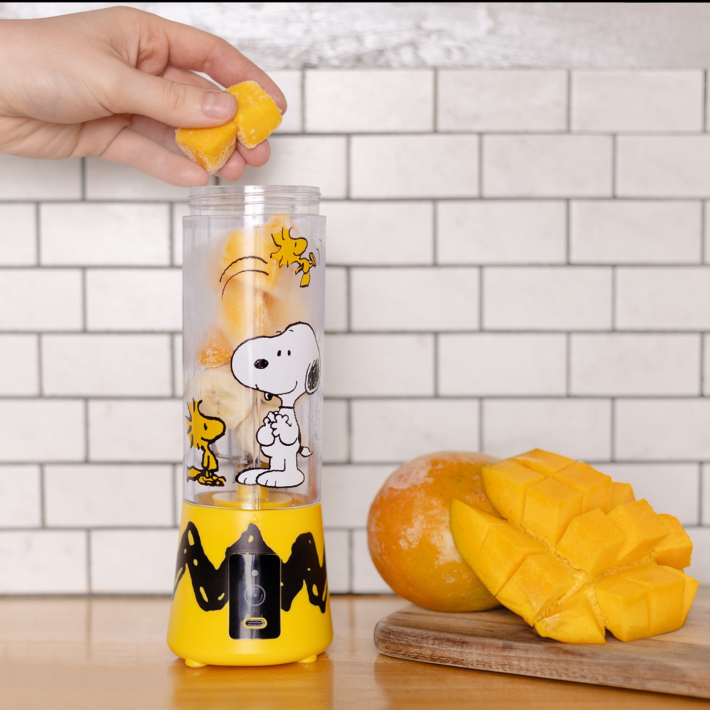 Uncanny Brands Peanuts Snoopy &#x26; Woodstock USB-Rechargeable Portable Blender