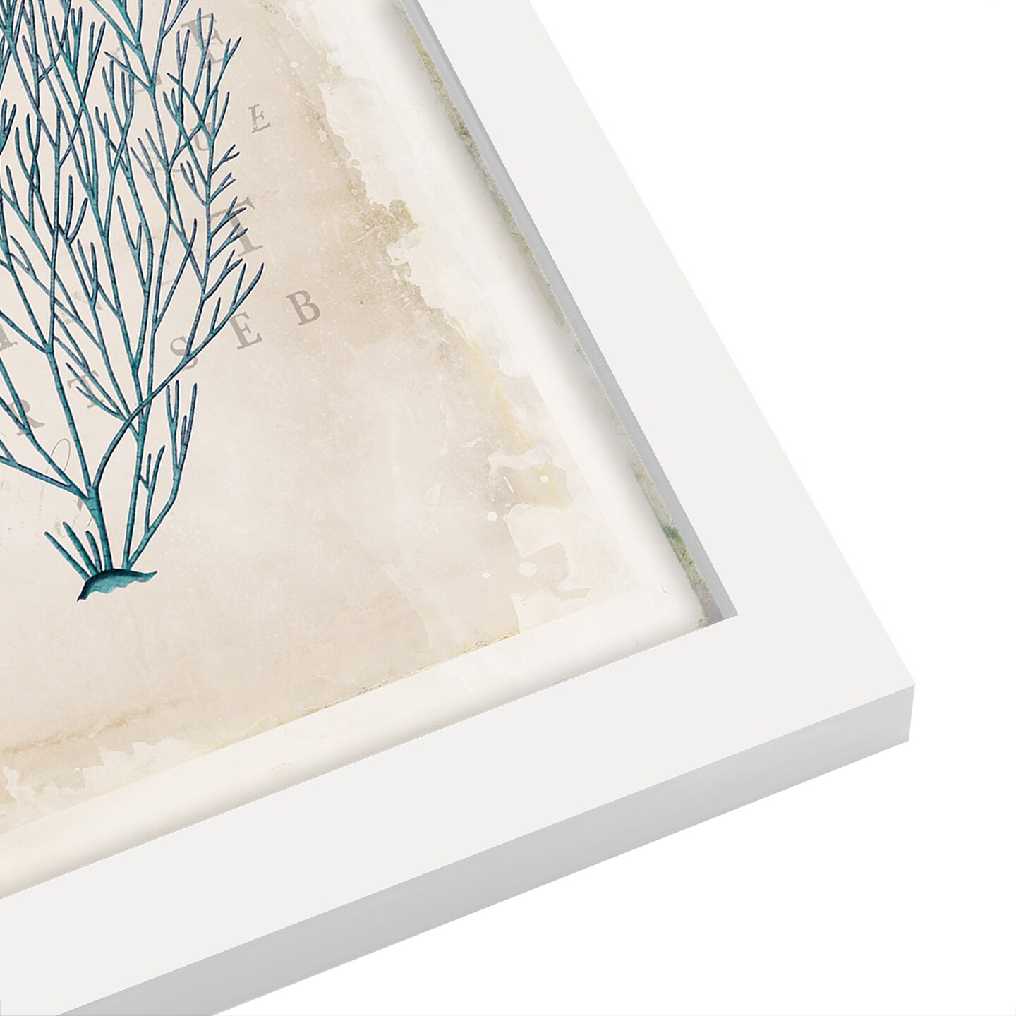 Sea Garden Ii by Katie Pertiet Black Framed Print 8x10 - Americanflat