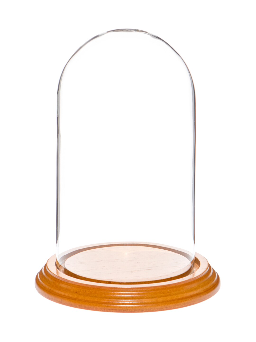 Plymor 4" x 7" Glass Display Dome Cloche Michaels