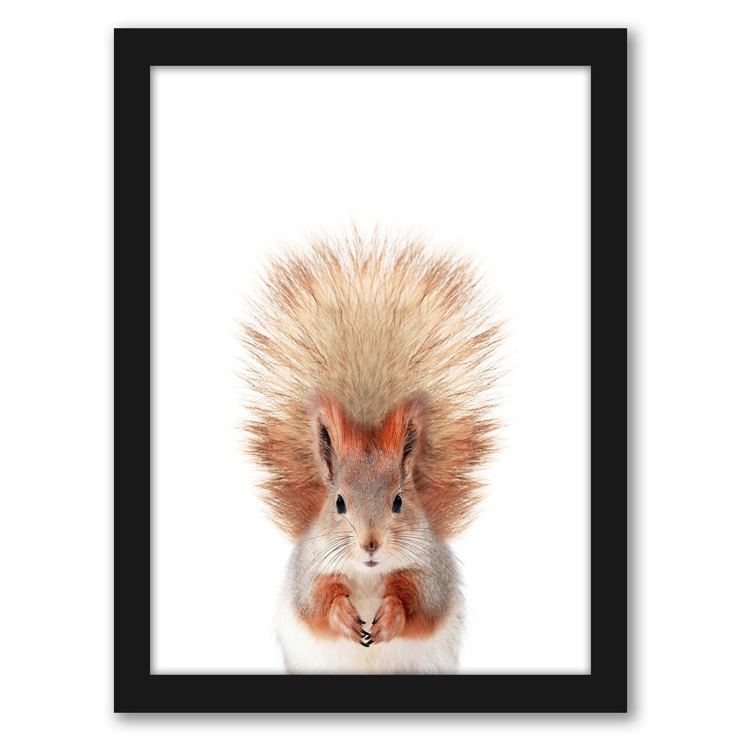Little Squirrel by Sisi And Seb Frame  - Americanflat