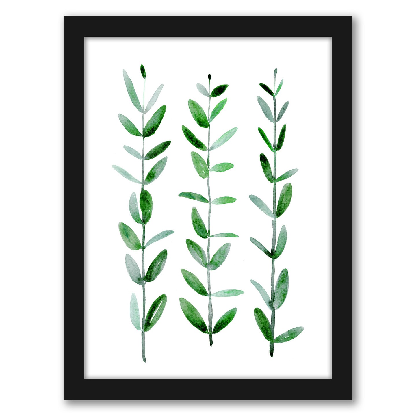 Eucaliptus Parvifolia by Blursbyai Frame - Americanflat | Michaels