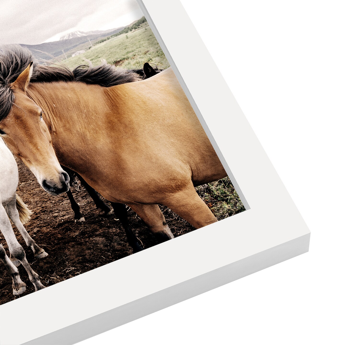 Farm Horses by Nuada Frame  - Americanflat