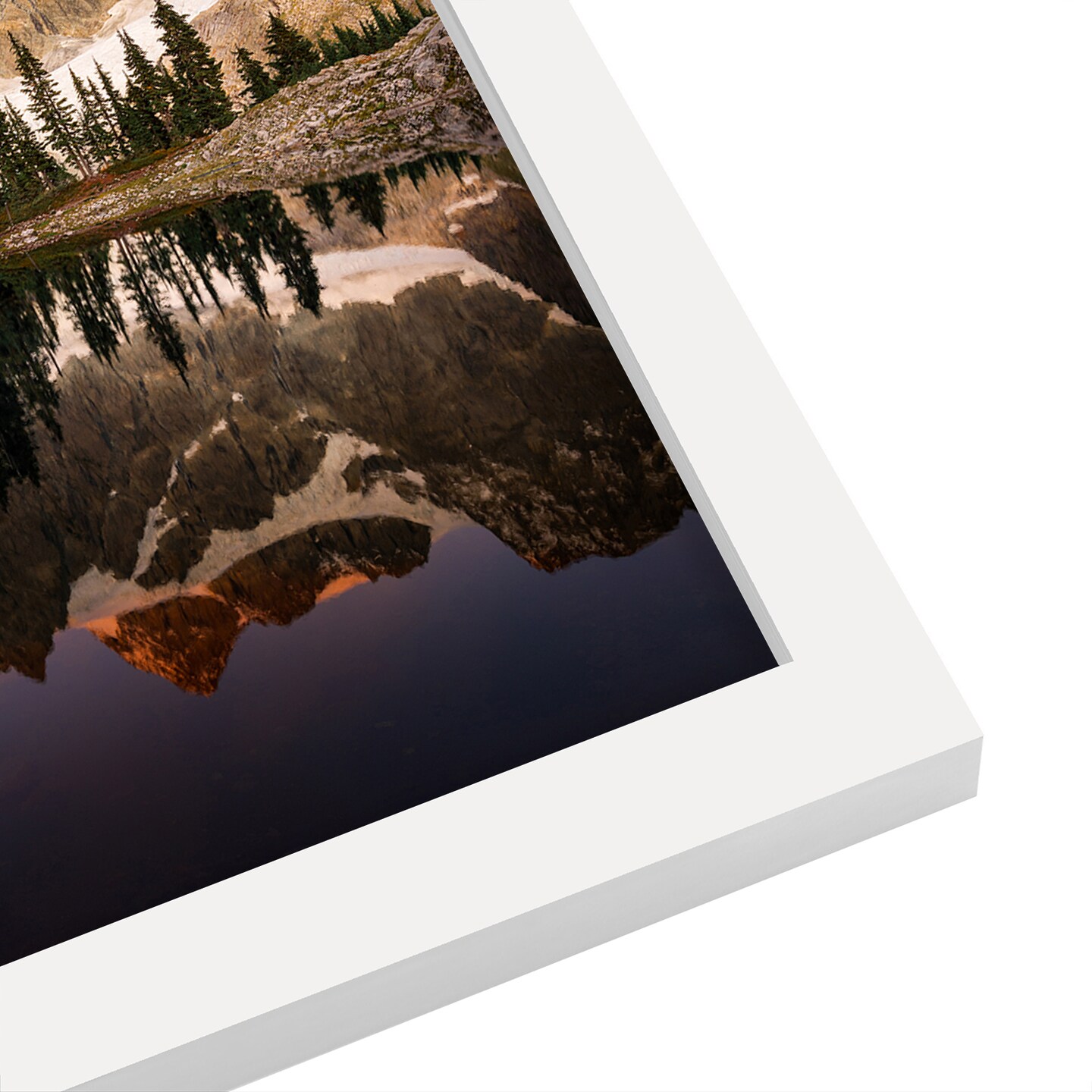 Shuksan Brilliance by Torrey Merritt Frame  - Americanflat