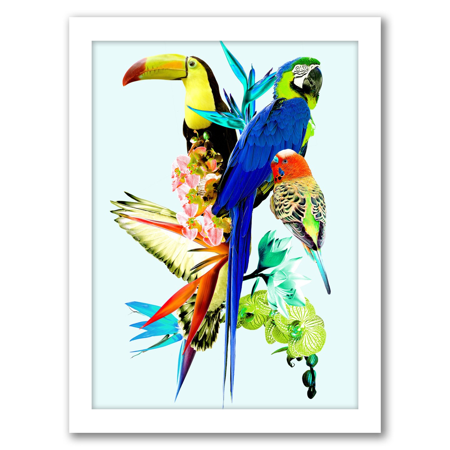 Birds Of Paradise Ii by Hope Bainbridge Frame  - Americanflat
