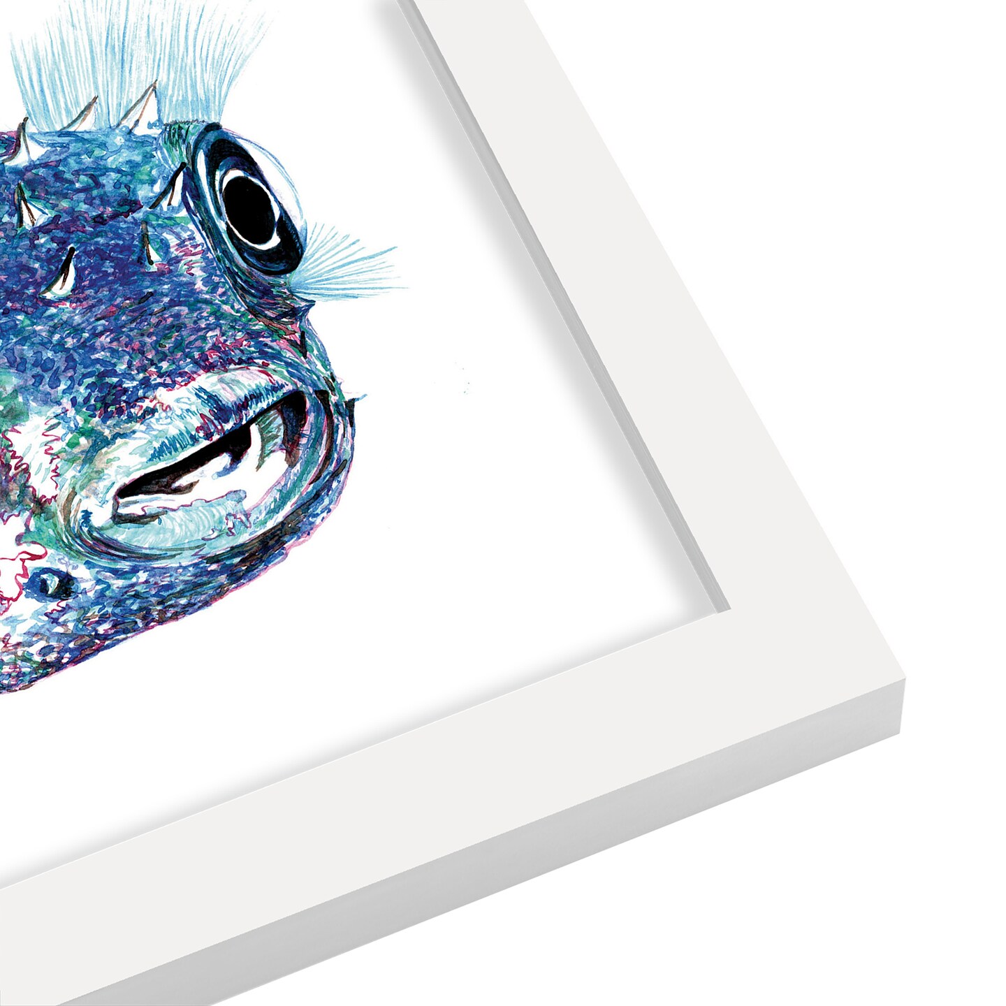 Puffer Fish 2 by T.J. Heiser Frame  - Americanflat