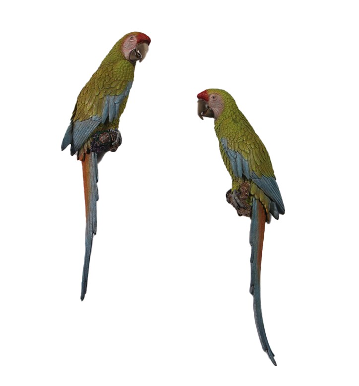 Macaw Buffon Lover Parrots Life Size Statue