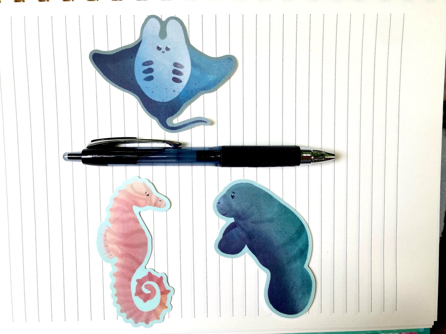 Ocean Animals Stickers, Manatee Sticker, Seahorse Sticker, Stingray  Sticker, Cute Animal Stickers, Vinyl Sticker, Laptop Sticker