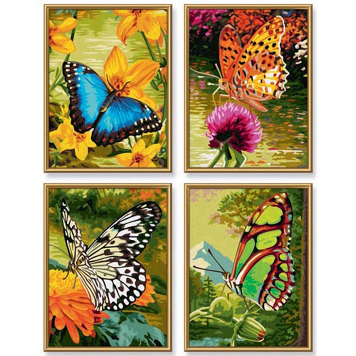 Butterflies Kit &#x26; Frames Paint-by-Number Kit