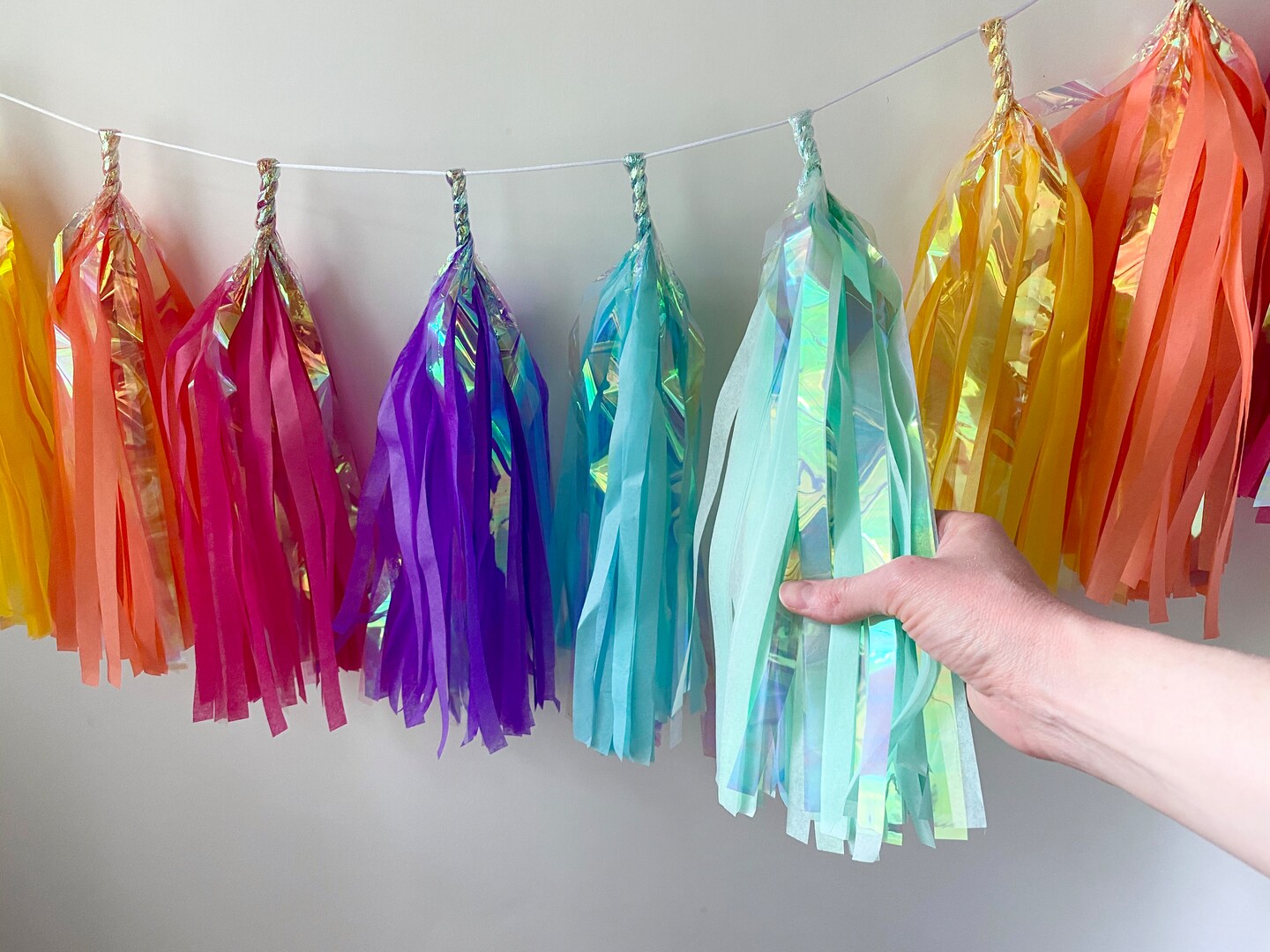 Iridescent Paper Garland