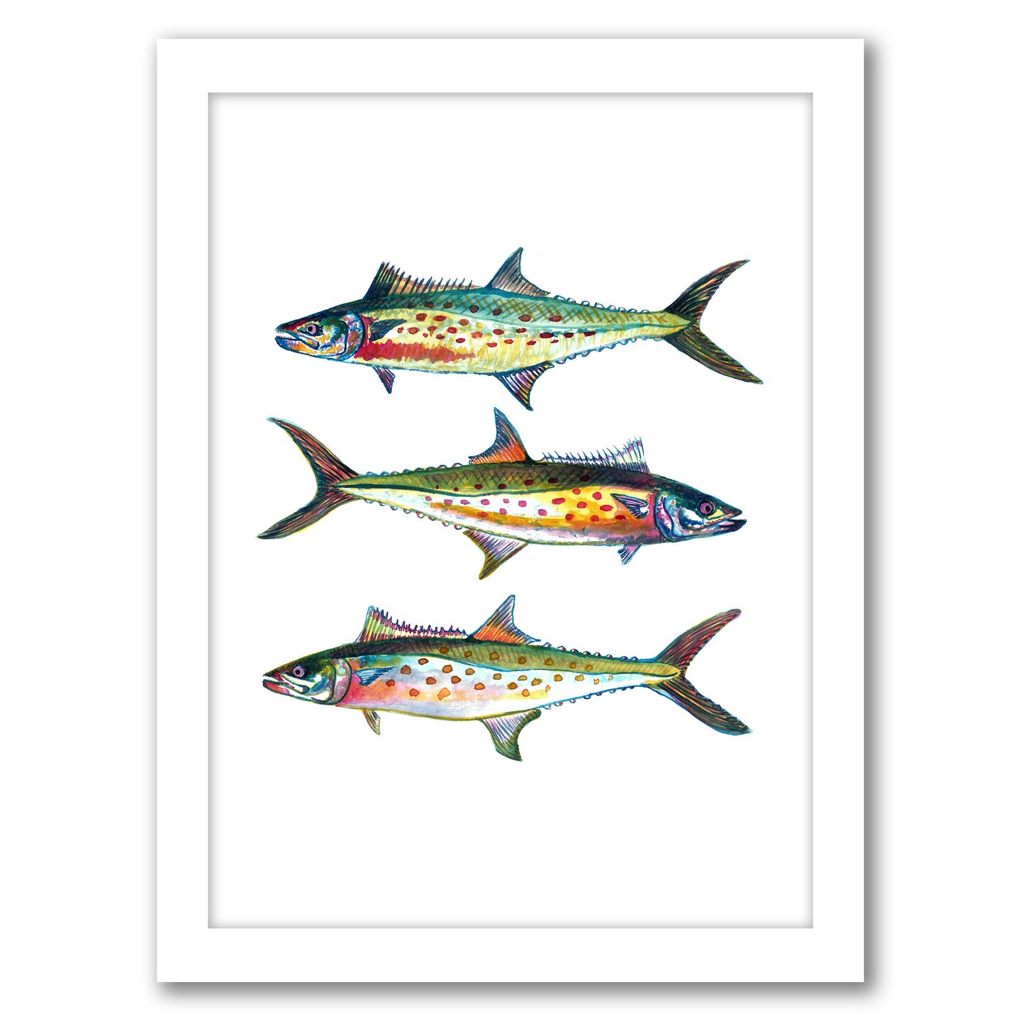 3 Spanish Mackerel by T.J. Heiser Frame  - Americanflat