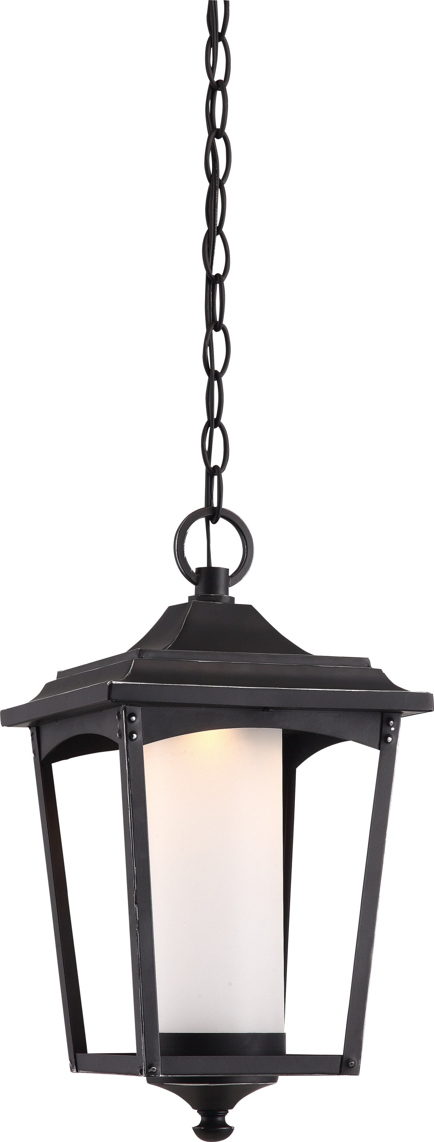 Essex 1-Light Hanging Lantern Outdoor Light Fixture in Sterling Black Finish