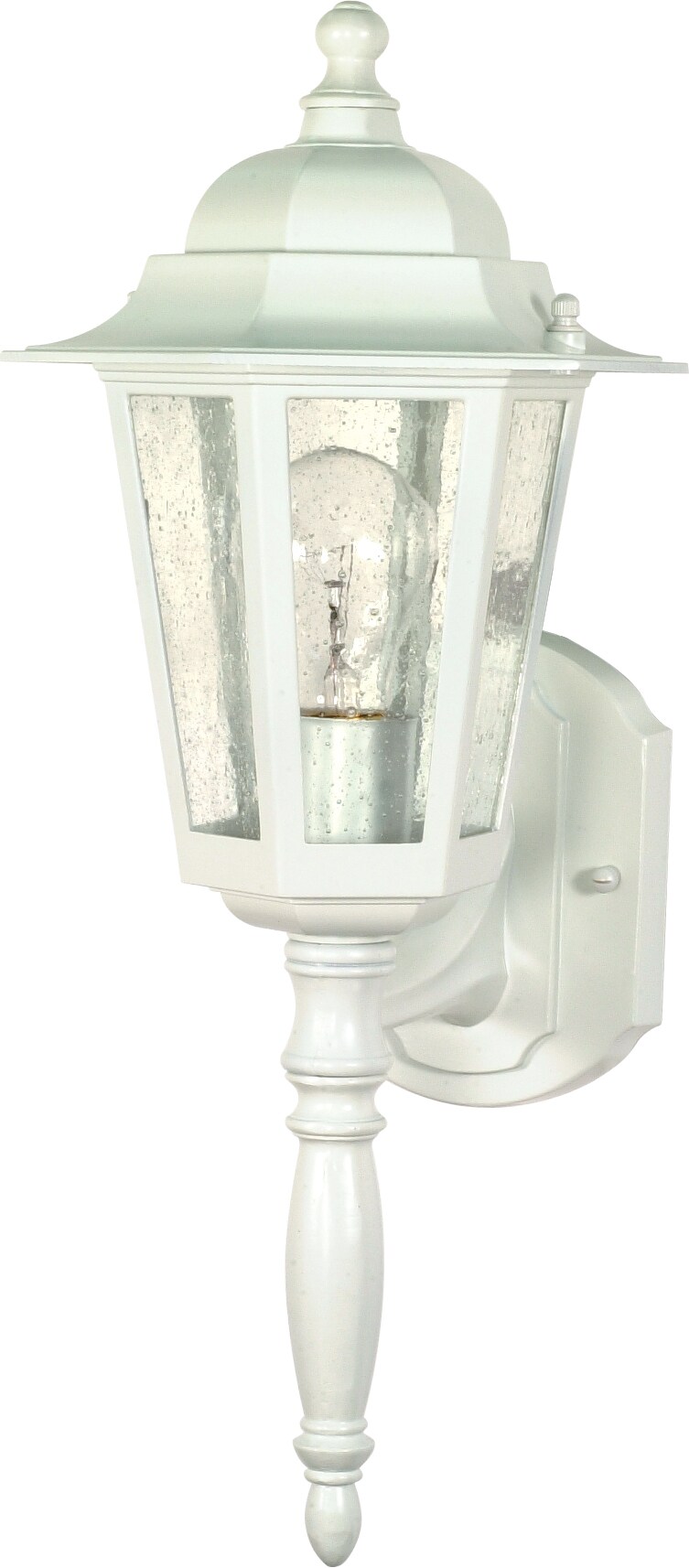 Central Park 1-Light Wall Lantern Outdoor Light Fixture in White Finish