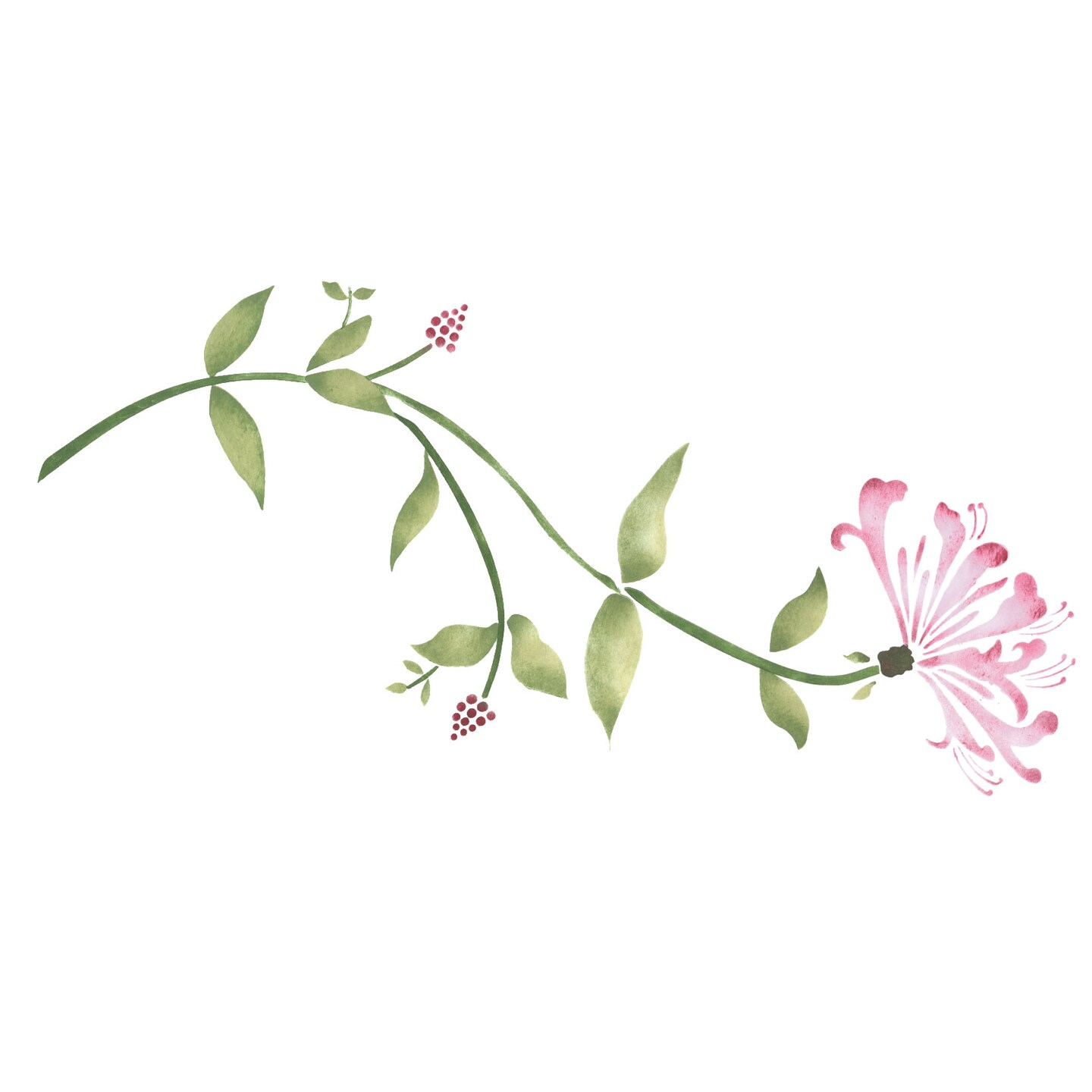 Honeysuckle Flower Wall Stencil | 3301 by Designer Stencils | Floral Stencils | Reusable Art Craft Stencils for Painting on Walls, Canvas, Wood | Reusable Plastic Paint Stencil for Home Makeover | Easy to Use & Clean Art Stencil