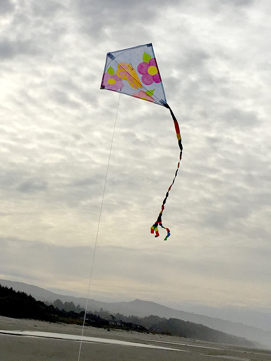 In the Breeze 3074-4 &#x2014; 4-Pack Coloring 20&#x22;, Group Pack (4PC), Diamond Kite