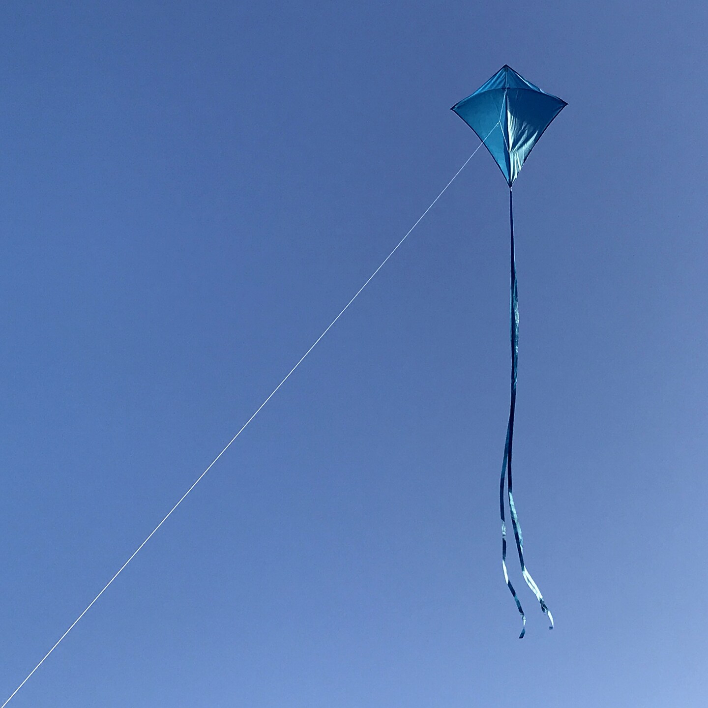 In the Breeze 3294 - Blueberry 30 Inch Diamond Kite - Solid Blue, Fun, Easy Flying Kite