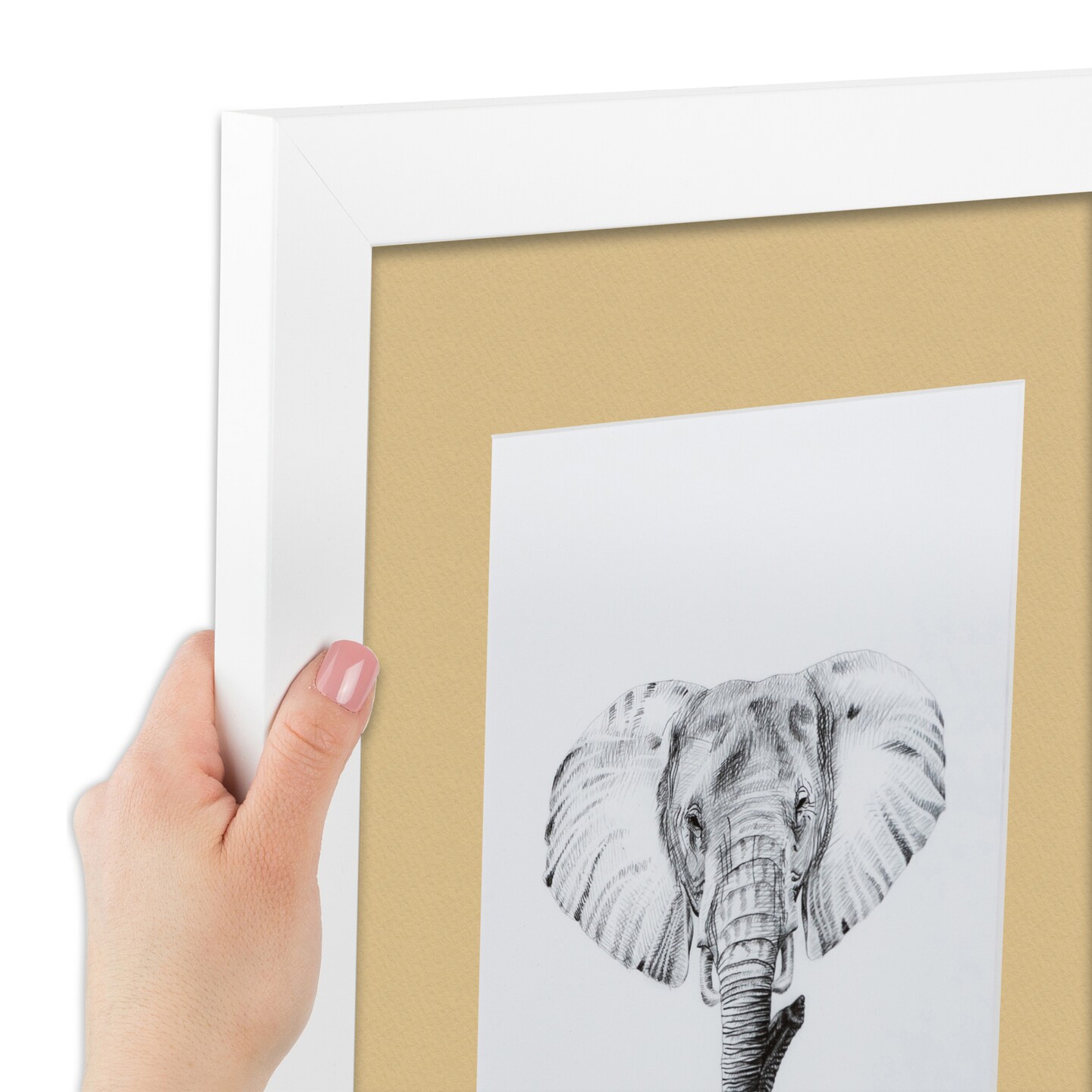ArtToFrames 24x24&#x22; Matted Picture Frame with 20x20&#x22; Single Mat Photo Opening Framed in 1.25&#x22; White and 2&#x22; Mat (FWM-3966-24x24)