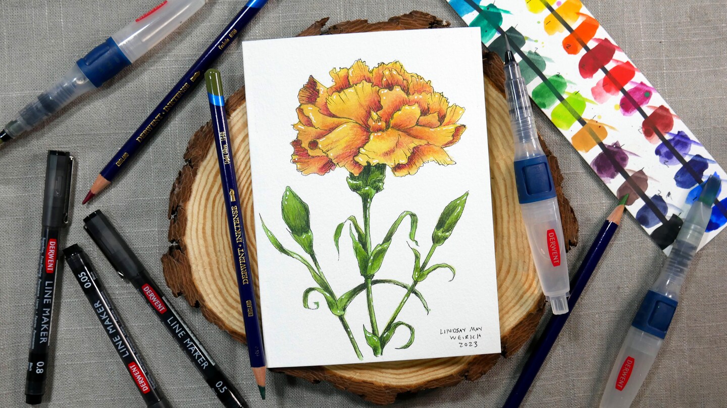 Carnation Pen & Ink With Inktense
