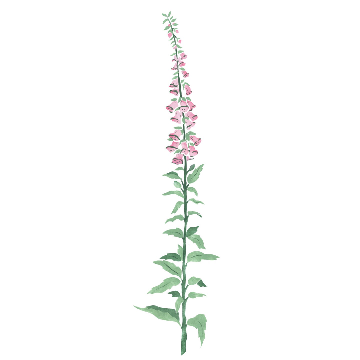 Small Foxglove Flower Wall Stencil | 2747R by Designer Stencils | Floral Stencils | Reusable Art Craft Stencils for Painting on Walls, Canvas, Wood | Reusable Plastic Paint Stencil for Home Makeover | Easy to Use &#x26; Clean Art Stencil