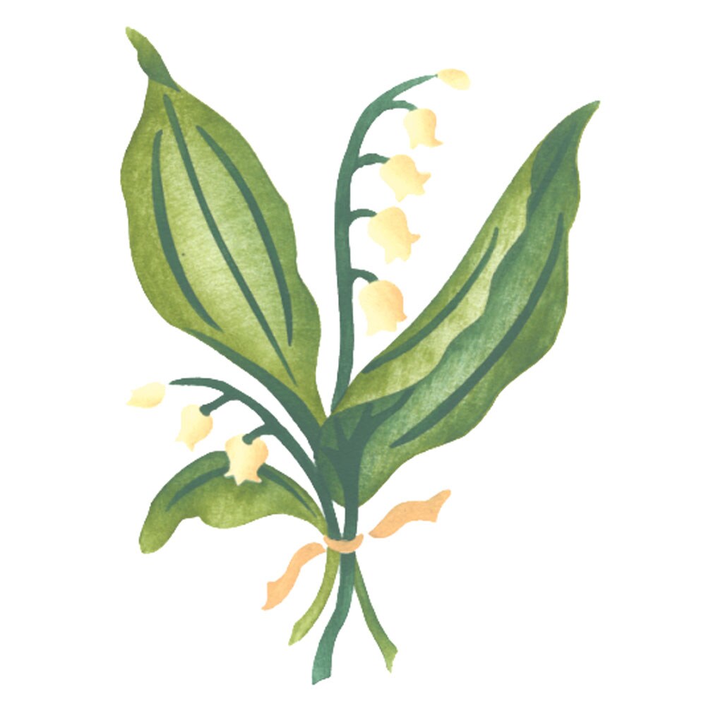 Single Lily of the Valley Flower Wall Stencil | 3311 by Designer Stencils | Floral Stencils | Reusable Art Craft Stencils for Painting on Walls, Canvas, Wood | Reusable Plastic Paint Stencil for Home Makeover | Easy to Use & Clean Art Stencil