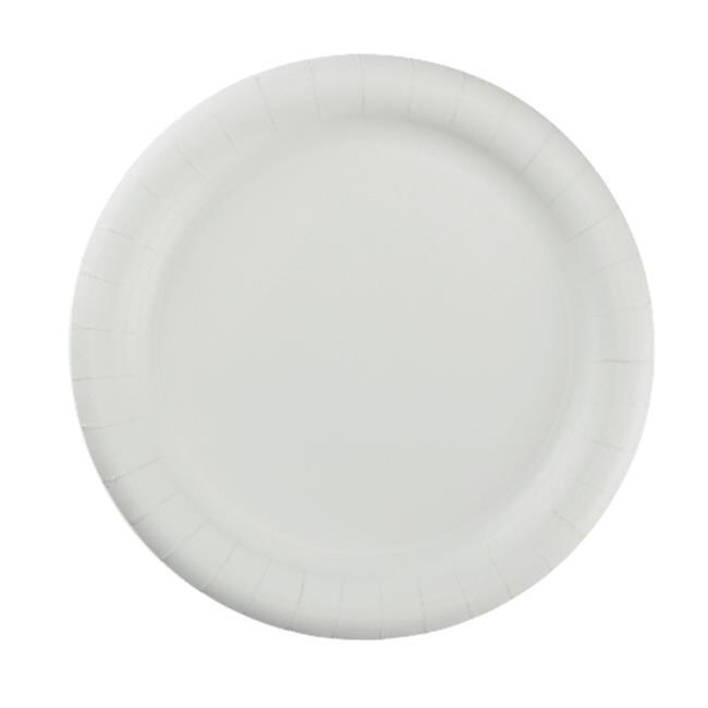 9 in. Premium Coated Paper Plate White - 4 Packs-Case | Michaels