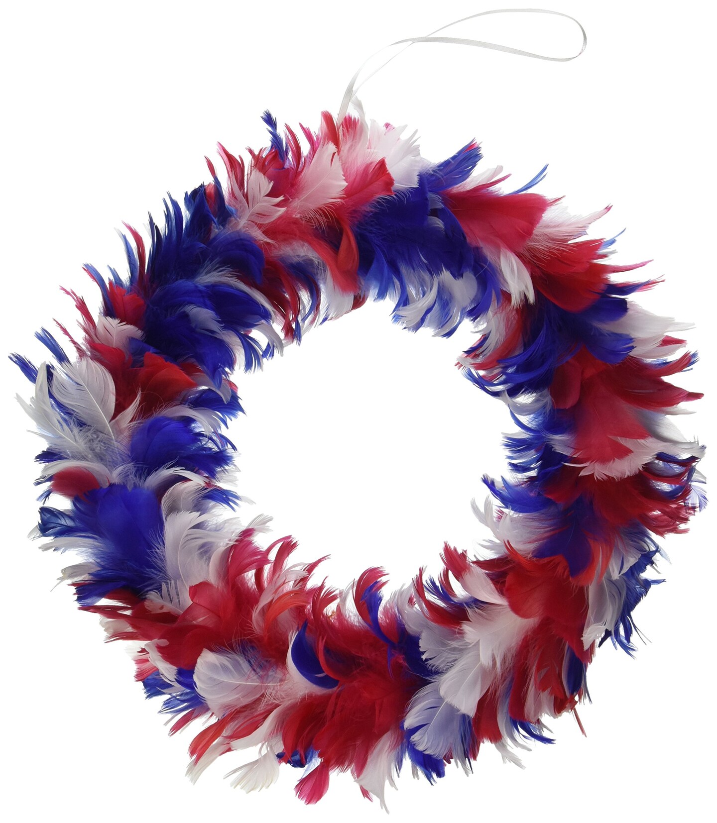 Feather Wreath (Pack of 6) | Michaels