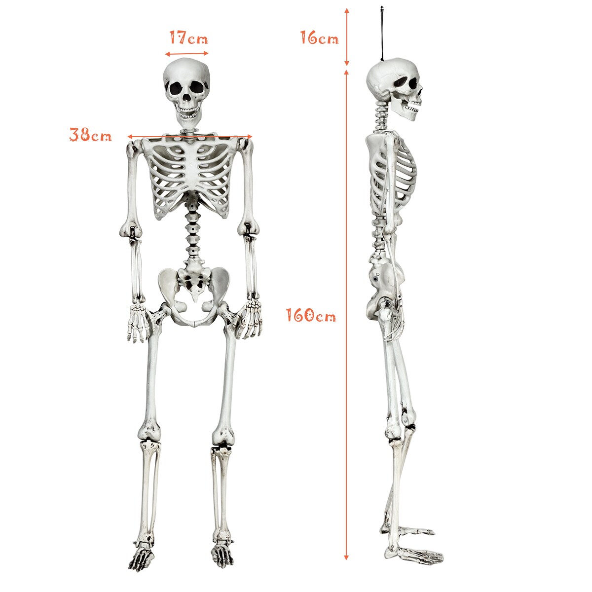 Costway 5.4ft Halloween Skeleton Life Size Realistic Full Body Hanging w/ Movable Joints