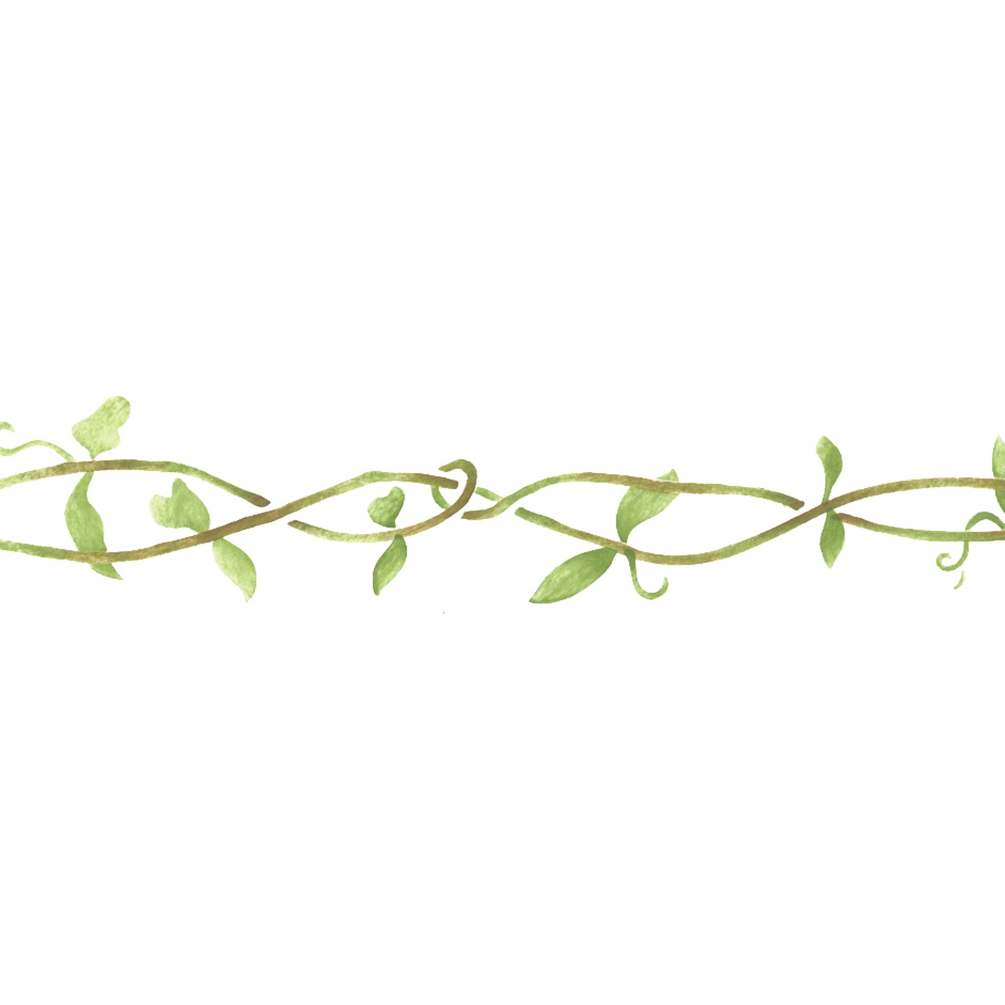 Small Vine Wall Stencil | 2823 by Designer Stencils | Floral Stencils | Reusable Art Craft Stencils for Painting on Walls, Canvas, Wood | Reusable Plastic Paint Stencil for Home Makeover | Easy to Use & Clean Art Stencil